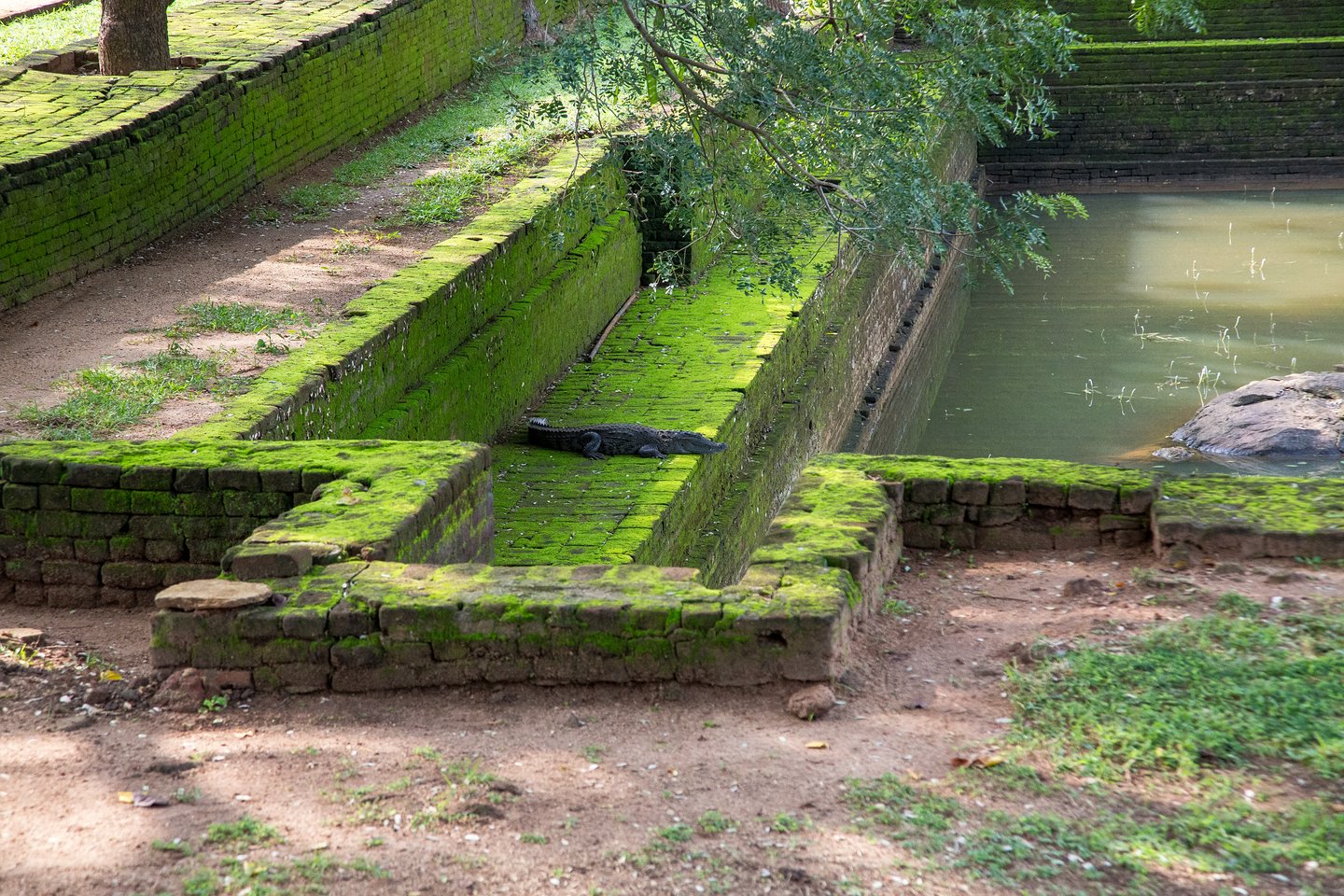 Löwenfelsen, Sigiriya
